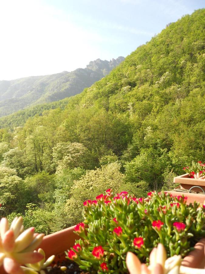 B&B Rossociliegia Colletta Dış mekan fotoğraf