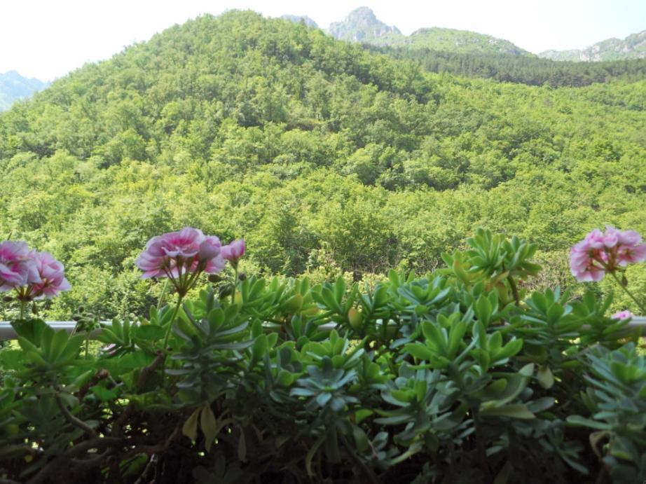 B&B Rossociliegia Colletta Dış mekan fotoğraf