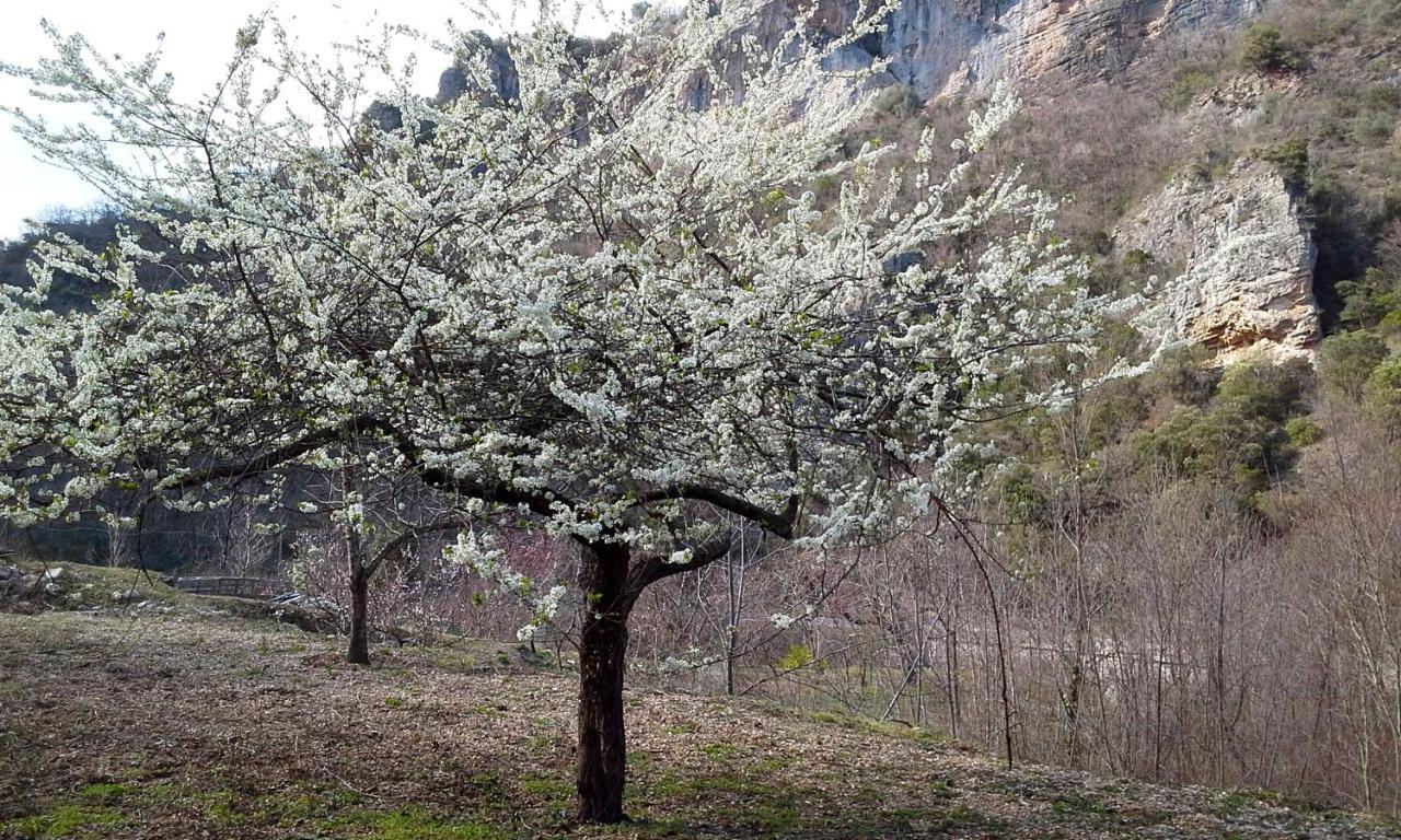 B&B Rossociliegia Colletta Dış mekan fotoğraf