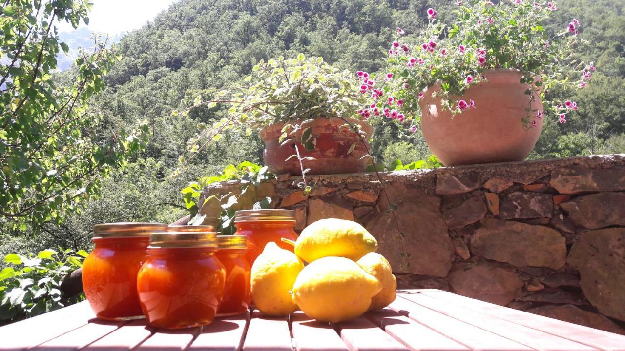 B&B Rossociliegia Colletta Dış mekan fotoğraf