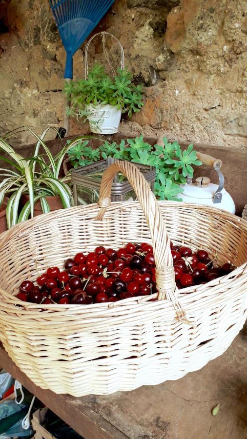 B&B Rossociliegia Colletta Dış mekan fotoğraf